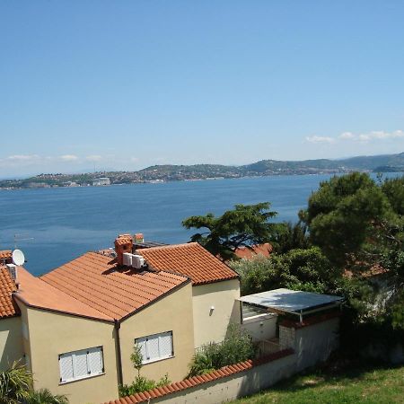 Apartman Carmen Crveni Vrh Extérieur photo
