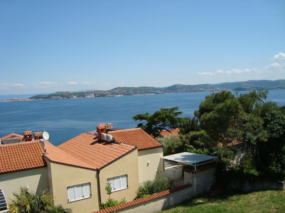 Apartman Carmen Crveni Vrh Extérieur photo